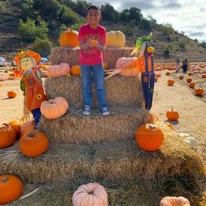 Meet your Posher, Isa